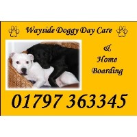 Wayside Doggy Day Care And Home Boarding New Romney Kent Logo 