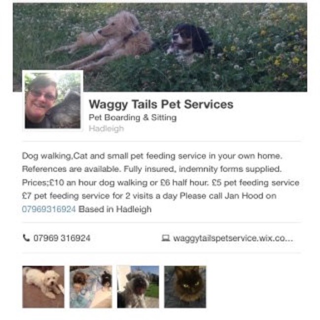 Waggytails Pet Services