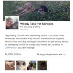 Waggytails Pet Services Hadleigh Essex Logo 