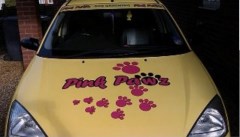Pink Pawz Hoveton, Norwich Norfolk Logo 