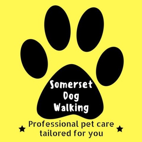Somerset Dog Walking
