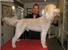 Diamond Kutz Newton Aycliffe Durham Logo 