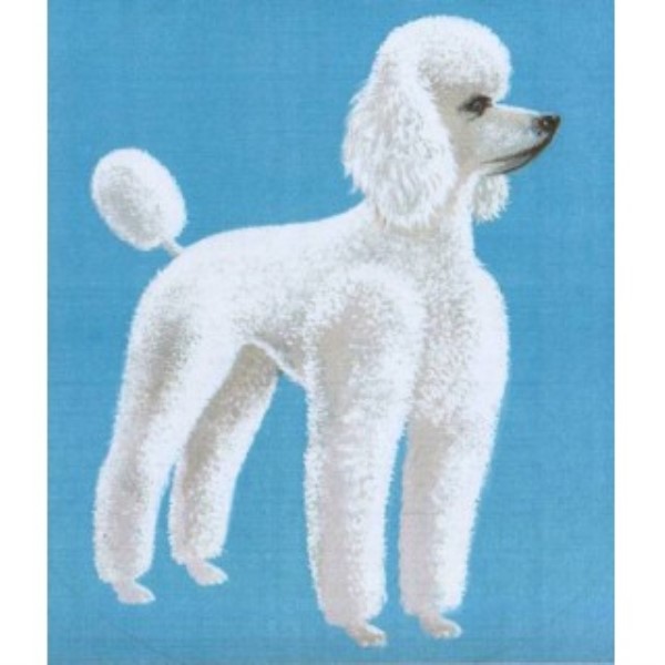 Kenilworth Dog Grooming