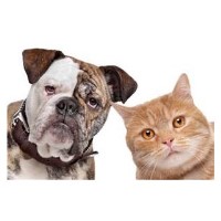 Booth Pet Services Whittlesey Peterborough Cambridgeshire Logo 