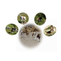 Total Recall Pet Services Jarrow Tyne and Wear Logo 