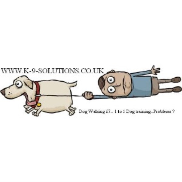 K9Solutions DogDayCare