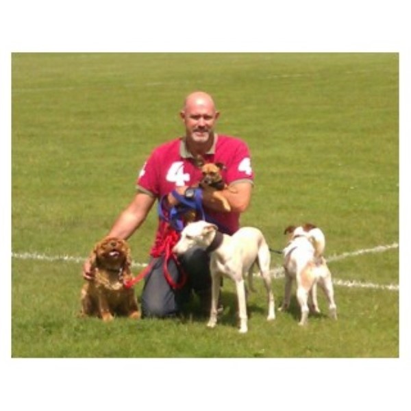 Harrisons Dogs - Walking