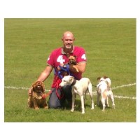 Harrisons Dogs - Walking Harden, London Greater London Logo 