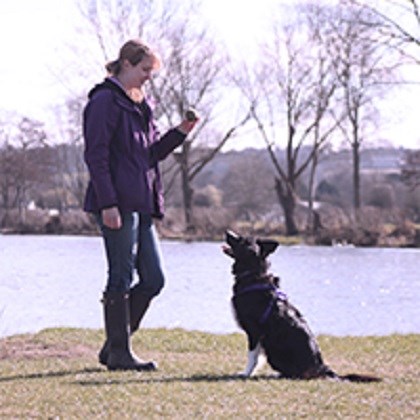 Estelle Wingrove - Dog Training
