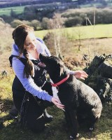 Little Zara's Pet Services Markfield Leicestershire Logo 