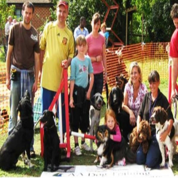Dog Boarding Near Southampton Dog Boarding Near Southampton
