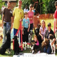 Aa Dog Training Southampton Hampshire Logo 