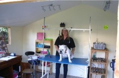 Caninecutz And Walkies Farnborough Hampshire Logo 