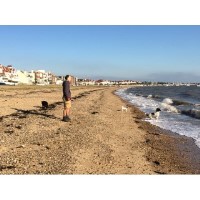 The Running Buddy Southend-On-Sea Essex Logo 