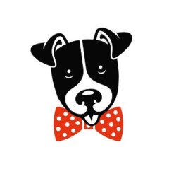 Dapper Dogs Monmouth Monmouthshire Logo 