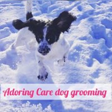 Adoring Care Dog Grooming Salon