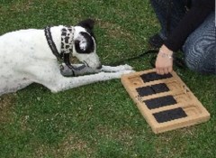 Hound School Dartford Kent Logo 