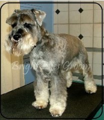 Bright Eyes & Bushy Tails Dog Grooming Doncaster South Yorkshire Logo 