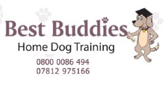 Best Buddies Derby Derbyshire Logo 