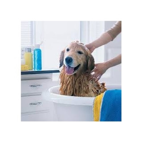 Appy Paws Dog Grooming