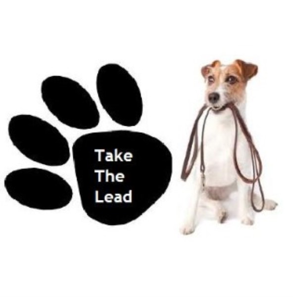 Take The Lead Services