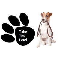 Take The Lead Services Aldershot Hampshire Logo 