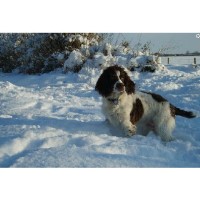 Holiday Ark Ltd Kidlington Oxfordshire Logo 