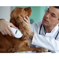 Mobile Microchipping South Wales Senghenydd Caerphilly Logo 