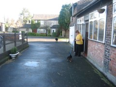 Aristocats Boarding Kennels And Cattery Wardley, Swinton Lancashire Logo 