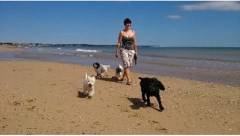 WAG Pet Services; Walking, Accommodation, Grooming... Kilham, Driffield East Yorkshire Logo 