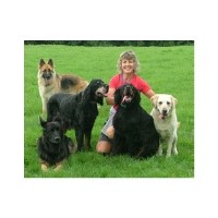 Happy Hounds Newton Abbot Devon Logo 