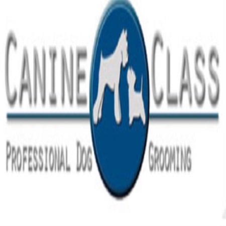 Canine Class