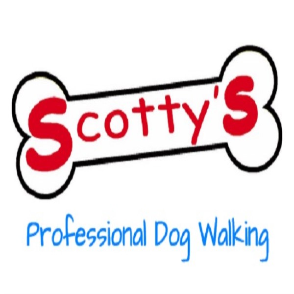 Scotty's Professional Dog Walking Service