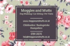 Moggies and Mutts Basingstoke Hampshire Logo 