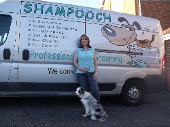 Shampooch (Whitchurch) Dog Grooming