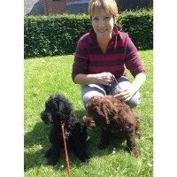 We Love Pets - Royal Wootton Bassett Swindon Wiltshire Logo 