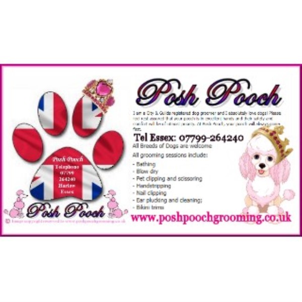 Posh Pooch Grooming