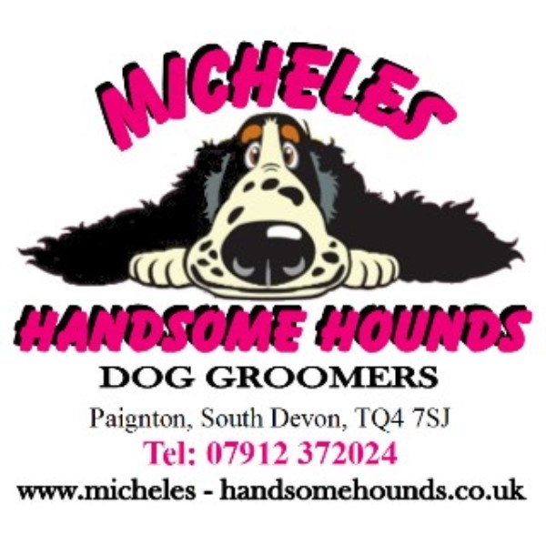 Micheles Handsome Hounds