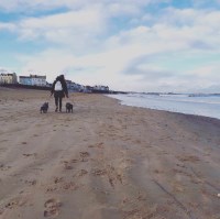 COLLAR CUBS thornaby Durham Logo 