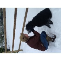 Feather & Fur Newborough Staffordshire Logo 