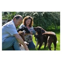 Vale Farmhouse Dog Boarding Kennels Salford Priors, Evesham Warwickshire Logo 