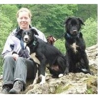 Rambling Paws Warboys, Huntingdon Cambridgeshire Logo 