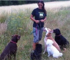 Love Fur Pets Wellingborough Northamptonshire Logo 