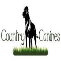 Audrey Dykes Banchory Aberdeenshire Logo 