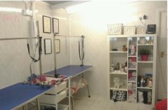 Mucky Mutz Dog Grooming Winwick, Warrington Cheshire Logo 