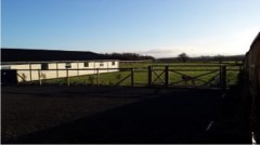 Norbreck Canine Centre Choppington Northumberland Logo 