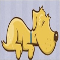 Patter Of Paws Mayfield East Sussex Logo 