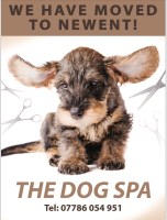 The Dog Spa Newent Gloucestershire Logo 