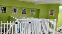 GORGEous a Grooming Cheddar Somerset Logo 