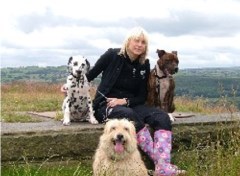 Hound Dog Pet Services Ltd Eldwick, Bingley West Yorkshire Logo 